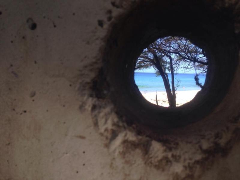 【保育士を辞めてどうする…？２】